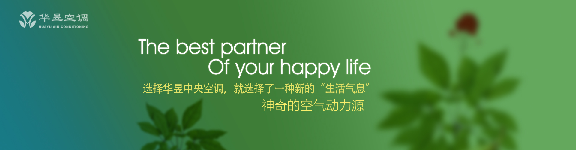 水落石出网